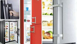 Элементы для холодильников Либхер купить